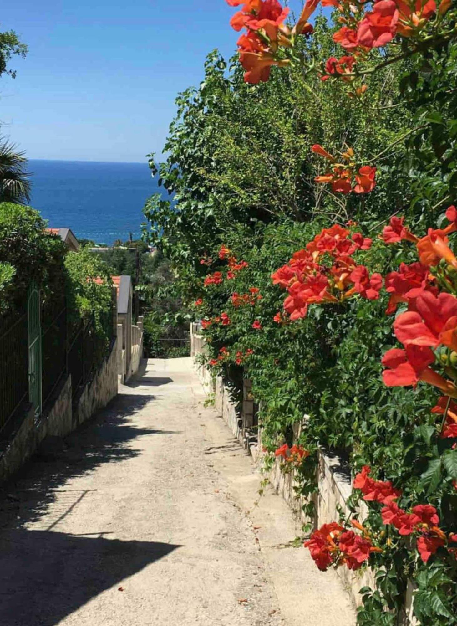 Bay View Apartments Petrovac エクステリア 写真